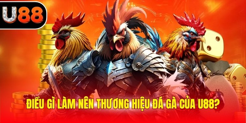 Điều gì làm nên thương hiệu đá gà của U88?
